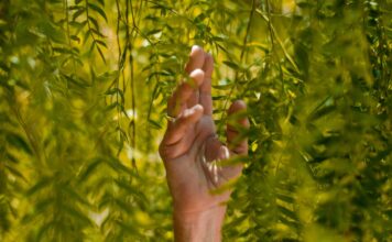 Zero waste w kuchni – jak zacząć? Recykling w domu - jak zacząć i jakie są korzyści?